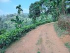 10 Acres Land for Sale Pothupitiya