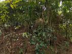 10 Acres of Land for Sale in Mawathagama