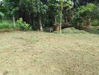 10 P Bare Land for Sale in Thalawathugoda (SL 14091)