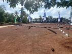 10 p land for sale in Moratuwa C33..
