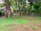 10 P Land for Sale in Piliyandala Madapatha Road