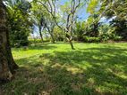 10 P Residential Bare Land For Sale Boralesgamuwa