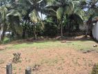 10 P Residential Bare Land For Sale Pittugala
