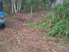 10 P x 2 Blocks Land for sale in Kesbewa Bandargama Rd ( ගල්කඩේ හංදිය)