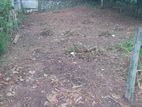 10 P x 2 Blocks Land for sale in Kesbewa Bandargama Rd ( ගල්කඩේ හංදිය)
