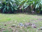 10 per Valuable Land for Sale in Malabe