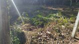 10-Perch Bare Land for Sale in Ganemulla