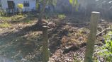 10-Perch Bare Land for Sale in Ganemulla