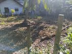 10-Perch Bare Land for Sale in Ganemulla