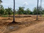 10 Perch Land For Sale Beliaththa