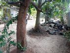 10 Perch Land For Sale Hirakadaura Road Negombo Gampaha