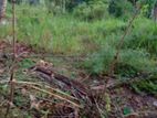 10 PERCH LAND FOR SALE in GODAGAMA Madulawa