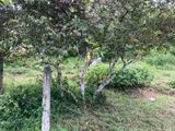 10 PERCH LAND For SALE in HOMAGAMA