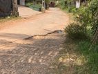 10 Perch Land for Sale in Homagama Talagala