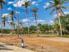 10 Perch Land for Sale in Kadawatha