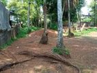 10 PERCH LAND FOR SALE in KOTTAWA