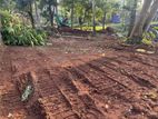 10 Perch Land for Sale in Kottawa