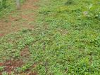 10 Perch Land for Sale in Madampalla ,Katana