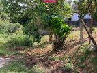 10 Perch Land for Sale in Malabe