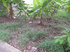 10 Perch Land for Sale in Malabe