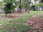 10 PERCH LAND FOR SALE IN MALEBE KAHANTOTA ROAD FENCING