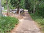 10 perch Land for sale in Matale- palapathwala