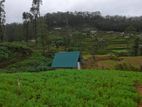10 Perch Land for Sale in Nuwara Eliya