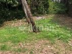 10 Perch Land For Sale In Pittugala , Malabe MRRR-A2