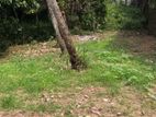 10 Perch Land For Sale In Pittugala , Malabe MRRR-A2