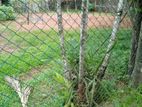 10 PERCH LAND For SALE in Talawatugoda Kalalgoda Polwatha