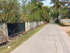 10 Perch Land for Sale in Thibirigaskatuwa