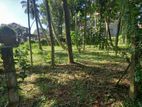 10 Perch Land in Negombo for Sale