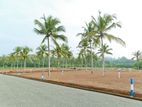 10 Perch Lands for Sale - GALLE