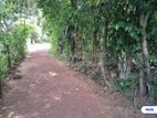 10 Perch Lands for Sale – Himbutana