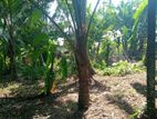 10 Perch Prime Land for Sale in Ihala Biyanwila (Near Kadawatha)