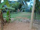 10-Perch Residential Land for Sale – Kandana