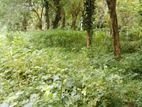 10 Perch Residential Land Plot for Sale – Kaalawila/Darga Town