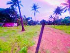 10 Perch Square Land in Kottawa Siddamulla