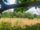 10 Perches Adjoining Paddy Field for Sale in Battaramulla