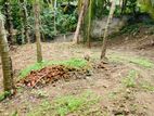 10 Perches Bare Land for Sale in Kundasale Kandy