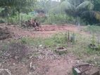 Land for Sale Trincomalee