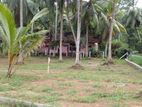 10 Perches Land for Sale - 8 Min to Horana town.