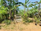 10 Perches Land for Sale Gonapala