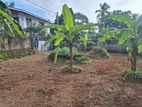 10 Perches Land for Sale in Delpe Junction