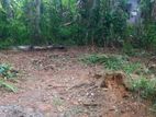 10 Perches Land For Sale in Ganemulla (SSPL-399)