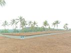 10 Perches Land for sale in Hikkaduwa