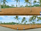 🏡 10 Perches Land for Sale in Hikkaduwa | (IWB003L)