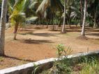 10 Perches Land for Sale in Horana