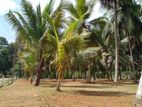 10 Perches Land for Sale in Horana