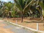 10 Perches Land for Sale in Horana